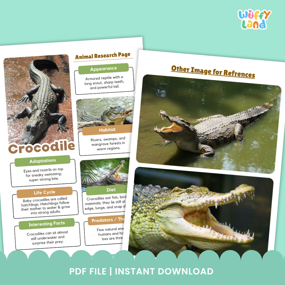 Educational printable pack titled “Crocodile Animal Research Project” displayed on a wooden background. The set includes photo reference pages with crocodile images and labeled sections for adaptations, habitat, life cycle, and interesting facts. It also features black-and-white research worksheets where students can write information, answer guided questions, and draw the animal.