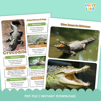 Educational printable pack titled “Crocodile Animal Research Project” displayed on a wooden background. The set includes photo reference pages with crocodile images and labeled sections for adaptations, habitat, life cycle, and interesting facts. It also features black-and-white research worksheets where students can write information, answer guided questions, and draw the animal.