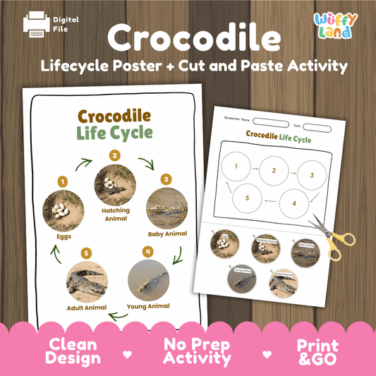 Crocodile Lifecycle Poster and Cut and Paste Activity Worksheets | Reptile Science Printables