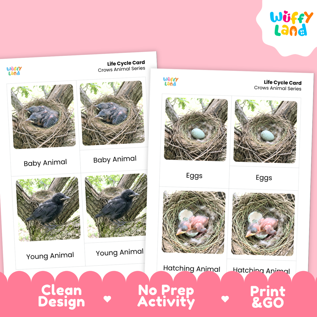 Two printable activity cards for crows shown on a pink background. The cards feature labeled photos of crow life-cycle stages: Baby Animal, Eggs, Young Animal, Hatching Animal.