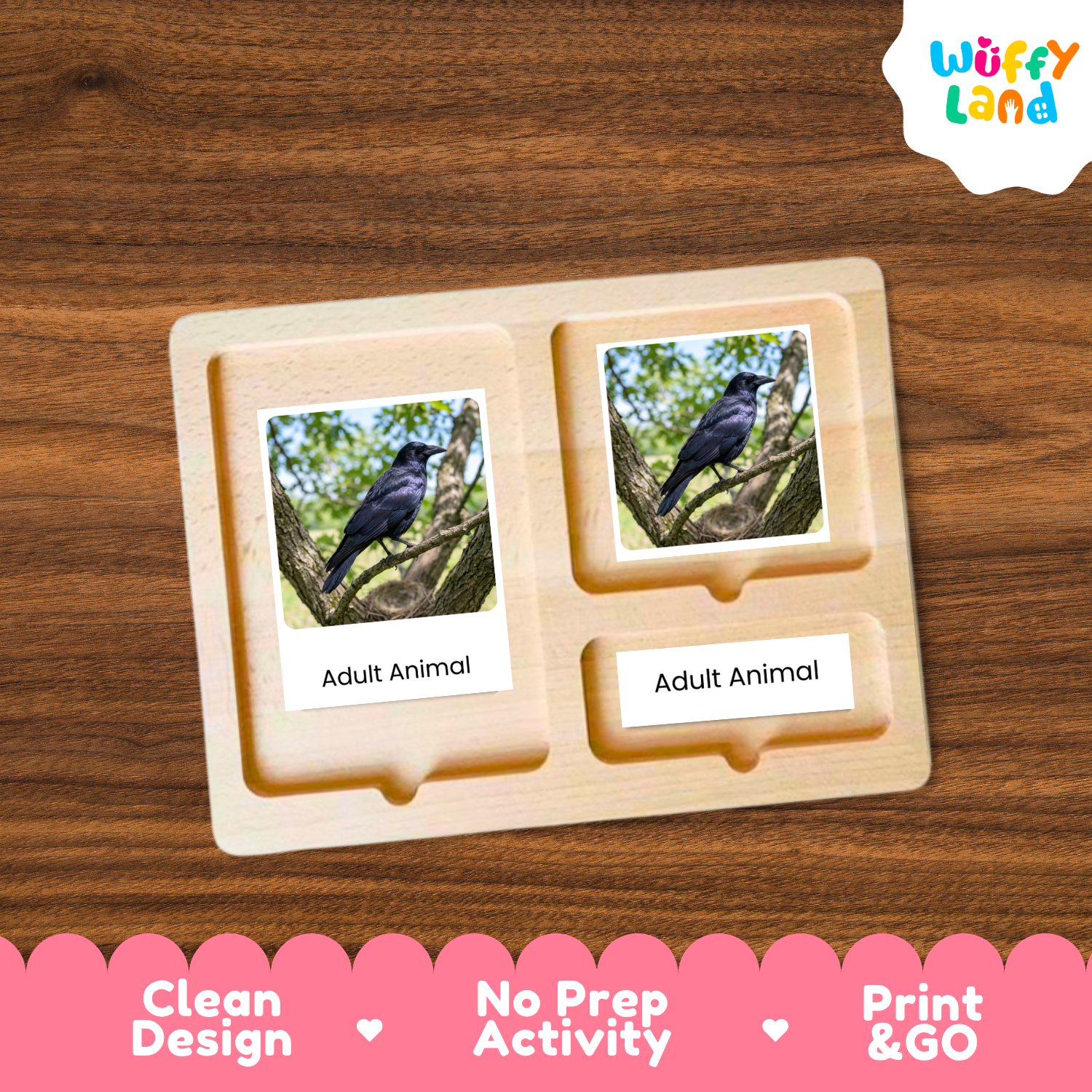 A wooden Montessori-style activity tray with two labeled slots reading 'Adult Animal,' each holding a printed photo card of a black bird on a branch. The tray is placed on a brown wood surface, with a white 'Wuffy Land' logo in the top right and a pink promotional banner along the bottom.