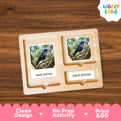 A wooden Montessori-style activity tray with two labeled slots reading 'Adult Animal,' each holding a printed photo card of a black bird on a branch. The tray is placed on a brown wood surface, with a white 'Wuffy Land' logo in the top right and a pink promotional banner along the bottom.