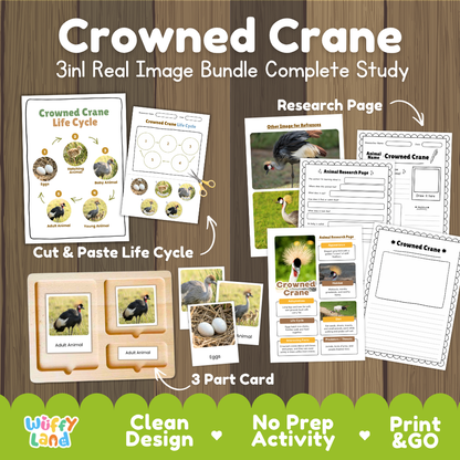 Crowned crane 3-in-1 real image bundle complete study cover showing cut and paste life cycle, 3 part cards, and research pages