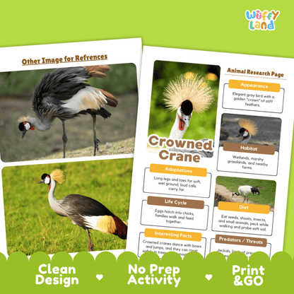 Two printed reference cards about a crowned crane are shown on a bright green background with marketing text reading 'Other Image for References,' 'Animal Research Page,' 'Clean Design,' 'No Prep Activity,' and 'Print & GO.' The cards contain photos of the bird and informational text panels.