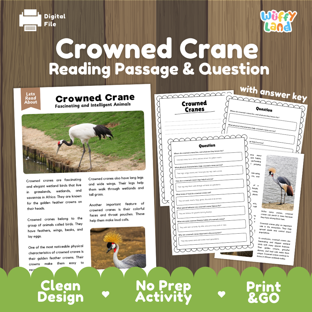 Crowned Crane Reading Passage and Comprehension Questions Worksheets with Answer Key