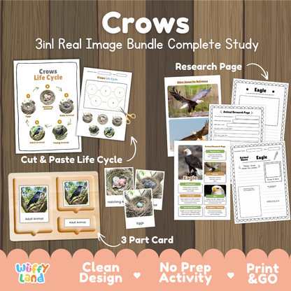 Crows 3-in-1 real image bundle complete study cover showing cut and paste life cycle, 3 part cards, and research pages