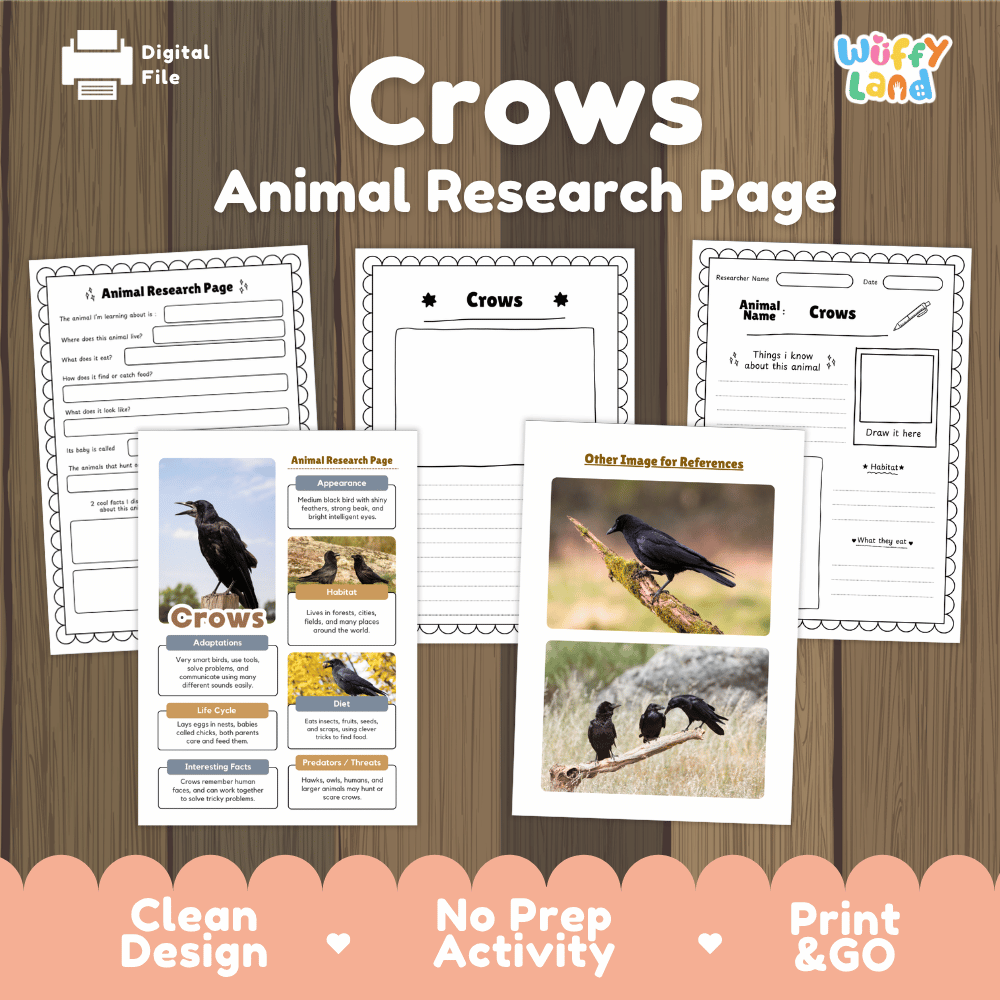 Clean design no prep print and go crows corvid forest bird animal life cycle study printable PDF pack for elementary science