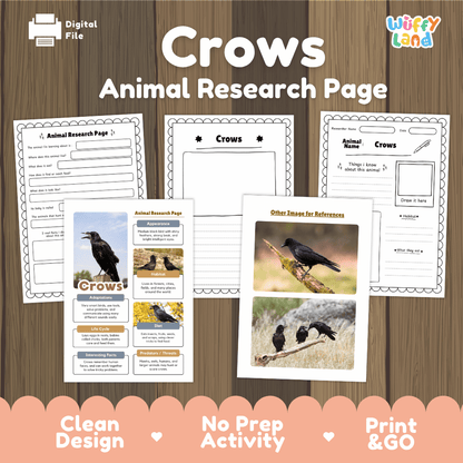 Clean design no prep print and go crows corvid forest bird animal life cycle study printable PDF pack for elementary science
