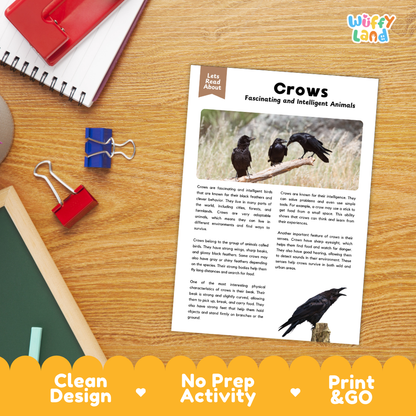 Crows Reading Passage and Comprehension Questions with Answer Key