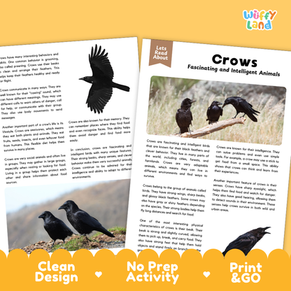 Crows Reading Passage and Comprehension Questions with Answer Key
