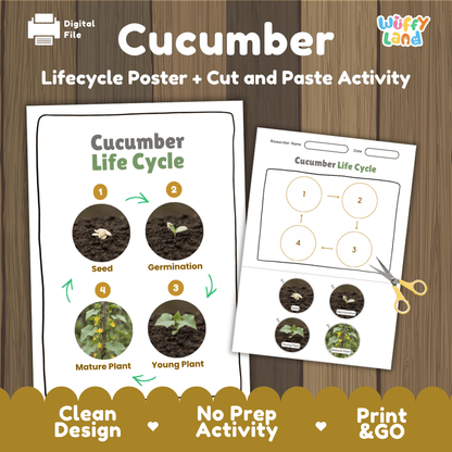Cucumber plant life cycle educational printable pack cover showing visual reference poster and cut and paste sequencing worksheet with real photography