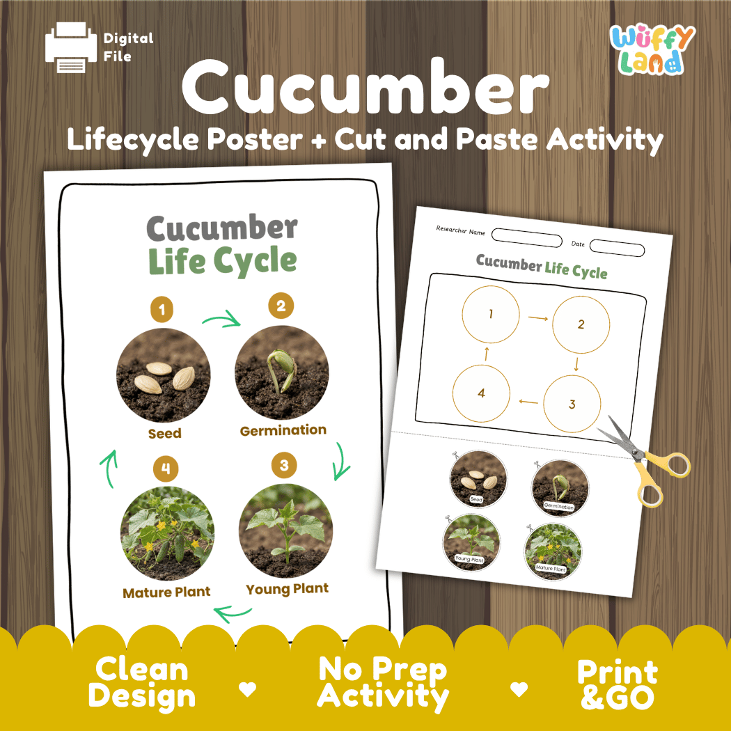 Cucumber Life Cycle Poster and Cut and Paste Worksheet Activity