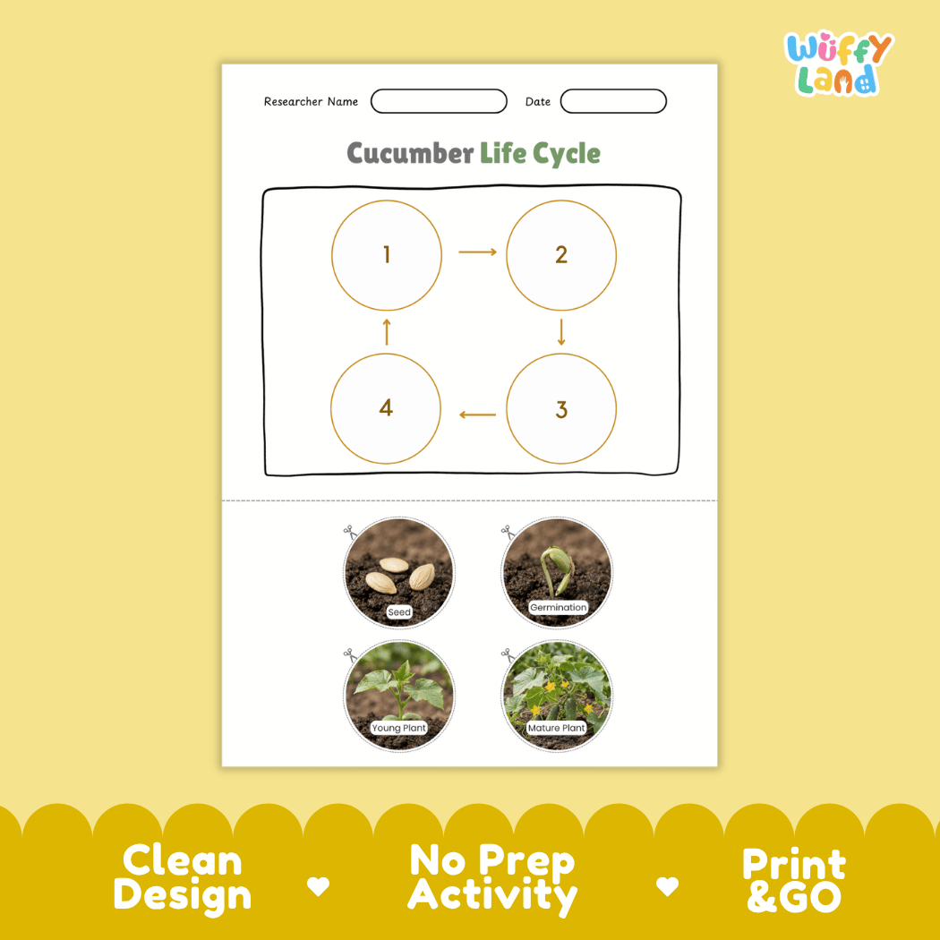 Cucumber Life Cycle Poster and Cut and Paste Worksheet Activity