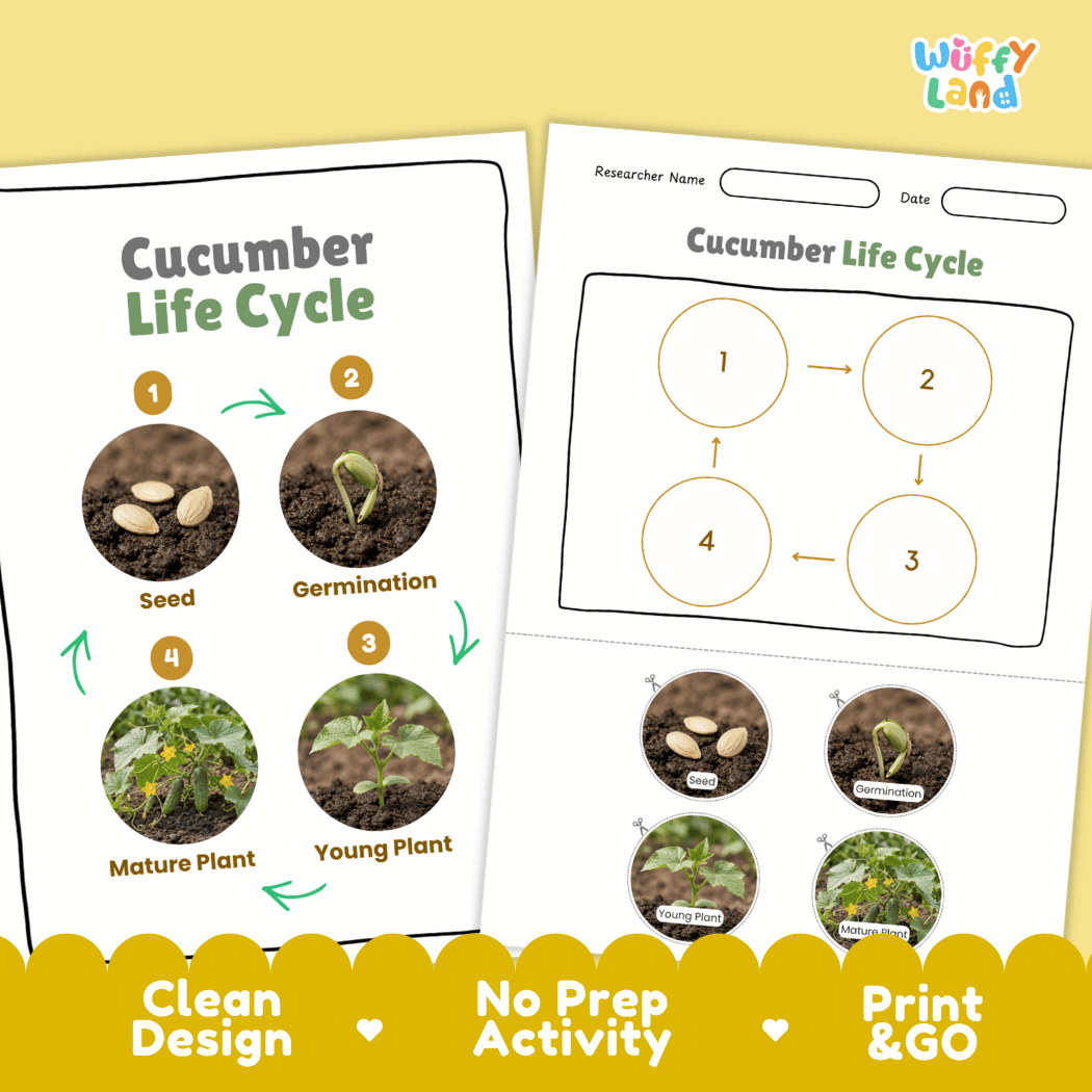 Cucumber Life Cycle Poster and Cut and Paste Worksheet Activity