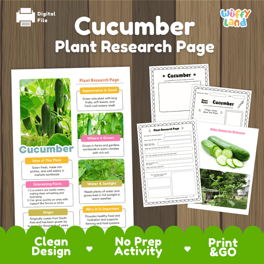 Student plant research page writing worksheets with real whole and sliced cucumber photos, lined note-taking prompts, and drawing frames