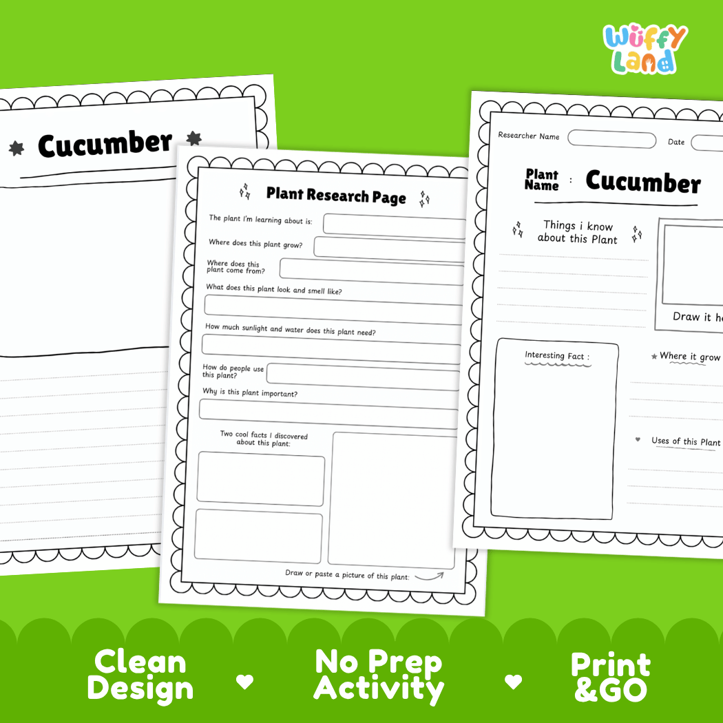 Cucumber Plant Research Page Worksheets and Fact Sheet