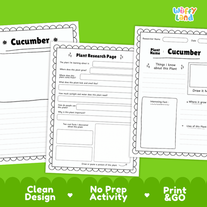 Cucumber Plant Research Page Worksheets and Fact Sheet