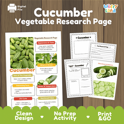 Cucumber Vegetable Research Page Worksheets
