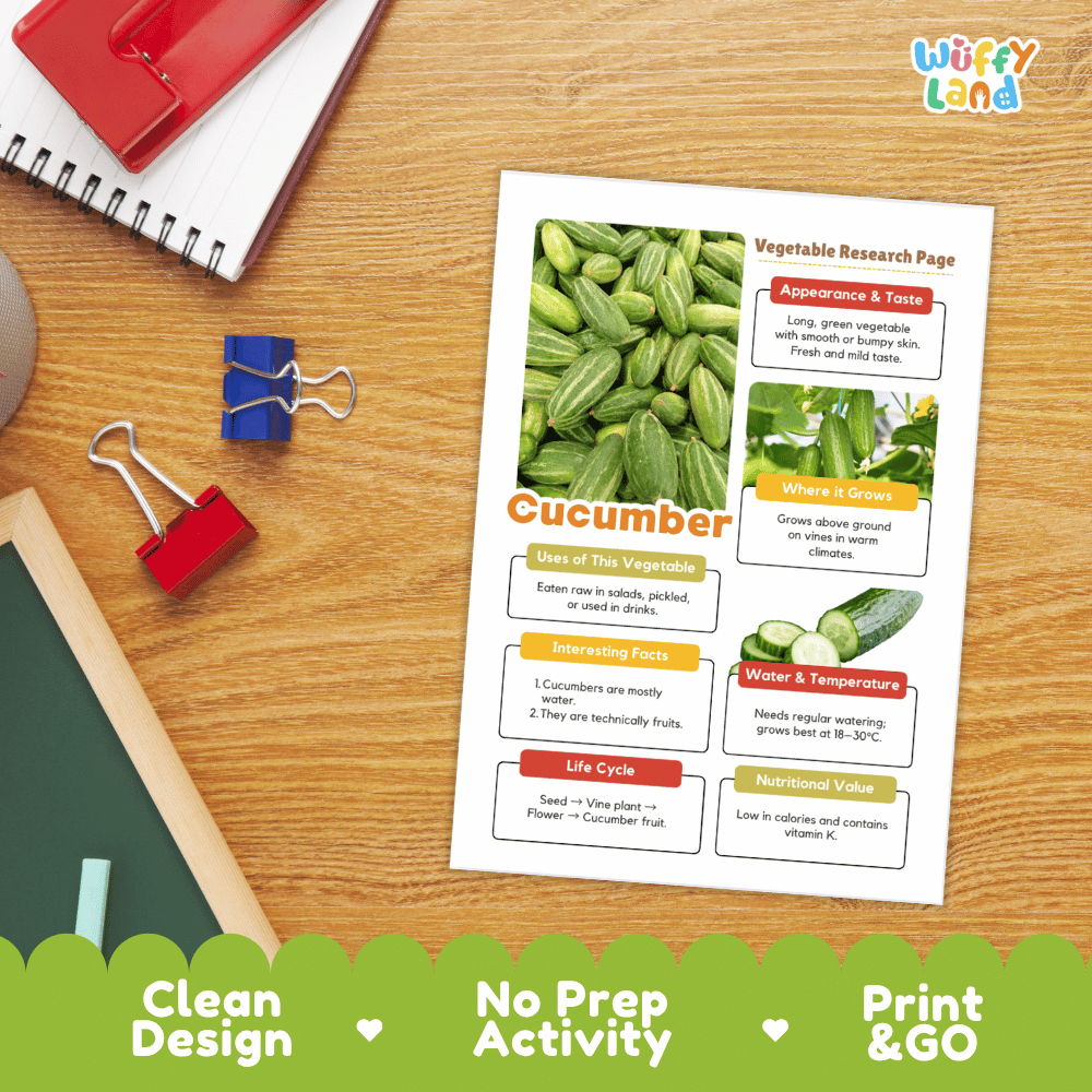 Cucumber Vegetable Research Page Worksheets