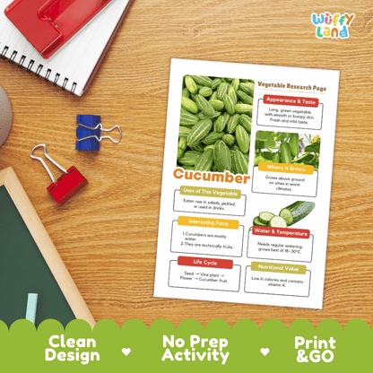 Cucumber Vegetable Research Page Worksheets
