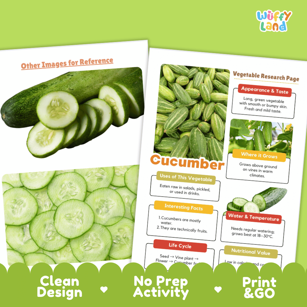 Cucumber Vegetable Research Page Worksheets