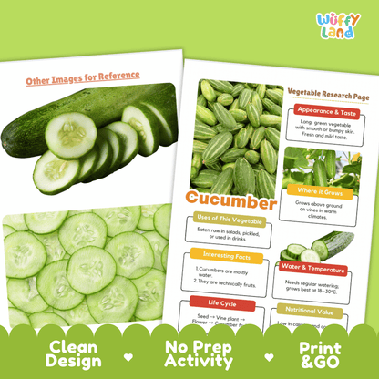 Cucumber Vegetable Research Page Worksheets