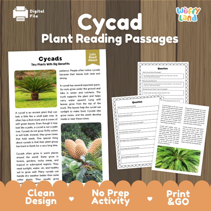 Cycad Plant Reading Passages and Comprehension Questions Worksheets