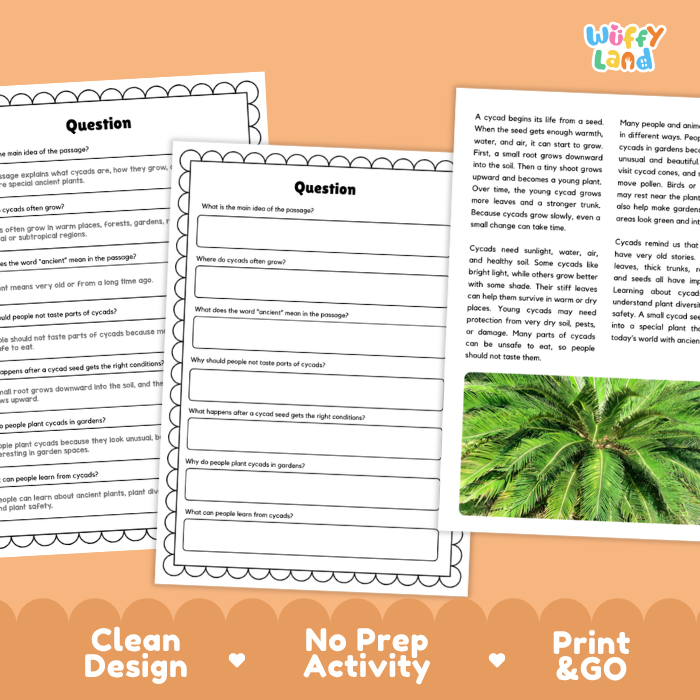 Cycad Plant Reading Passages and Comprehension Questions Worksheets