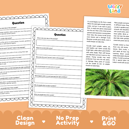 Cycad Plant Reading Passages and Comprehension Questions Worksheets