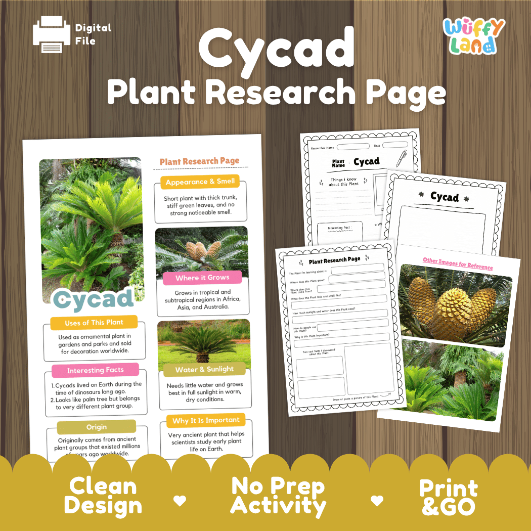 Cycad Plant Research Page Worksheets and Fact Sheet