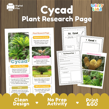 Cycad Plant Research Page Worksheets and Fact Sheet