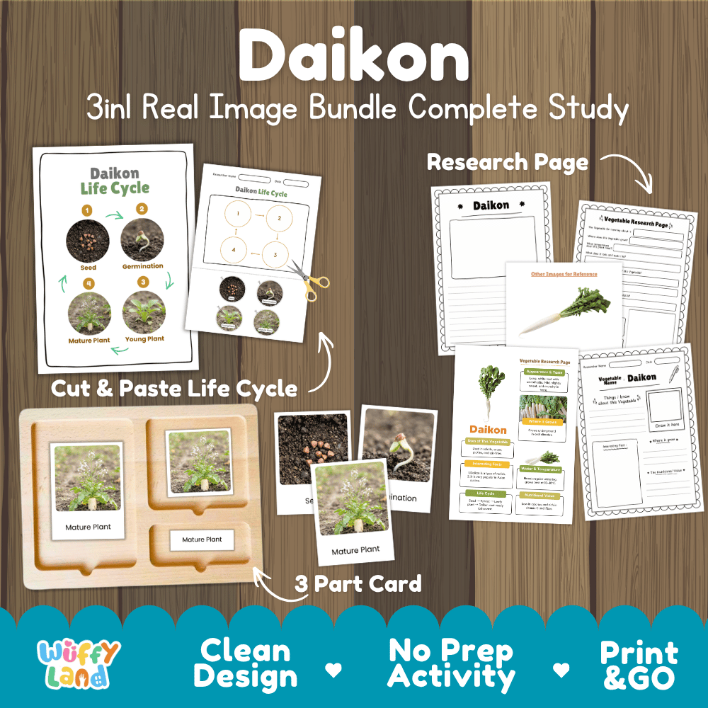 Daikon radish 3in1 real image bundle complete study printable featuring life cycle cut and paste worksheets, Montessori 3-part cards, and research pages