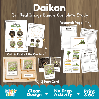 Daikon radish 3in1 real image bundle complete study printable featuring life cycle cut and paste worksheets, Montessori 3-part cards, and research pages
