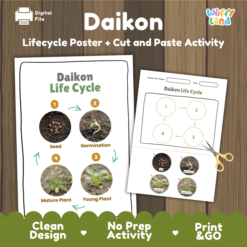 Daikon radish plant life cycle educational printable pack cover showing visual reference poster and cut and paste sequencing worksheet with real photography