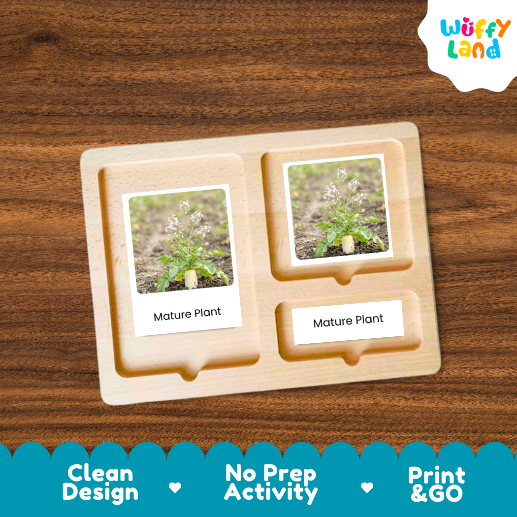 A wooden Montessori-style activity tray with two labeled slots reading 'Mature Plant,' each holding a small printed photo of a plant in soil. The tray is shown on a brown wood surface, with a white cloud logo reading 'Wuffy Land' in the top right and a blue banner at the bottom with marketing text.