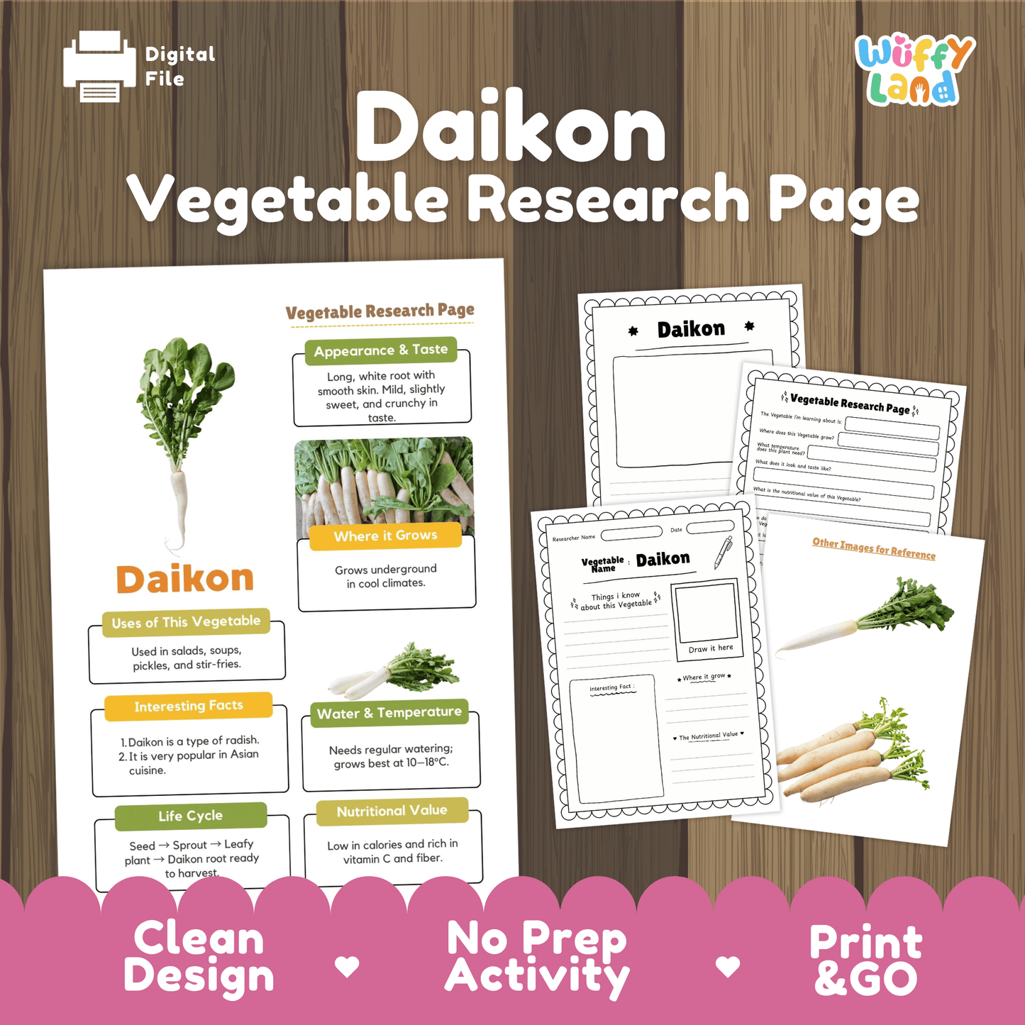 Daikon Radish Research Activity Worksheet Science Vegetable Asian Food RootPlant