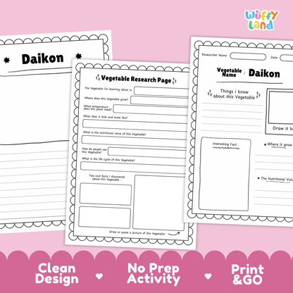 Daikon Radish Research Activity Worksheet Science Vegetable Asian Food RootPlant