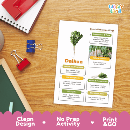 Daikon Radish Research Activity Worksheet Science Vegetable Asian Food RootPlant
