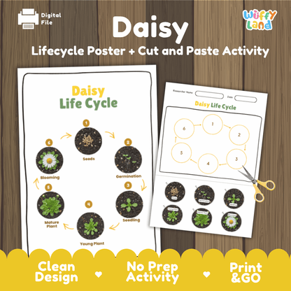 Daisy Lifecycle Poster and Cut and Paste Activity Worksheets | Plant Science Printables