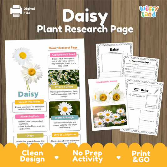Student flower research page writing worksheets with real white daisy blossoms and grassy meadow reference photos, lined note-taking prompts, and drawing frames