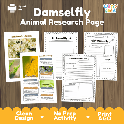 Damselfly Animal Research Page and Worksheets