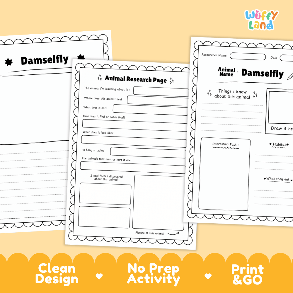Damselfly Animal Research Page and Worksheets