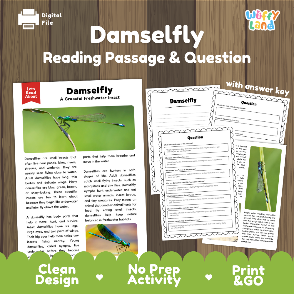 Damselfly Reading Passage and Questions Worksheets with Answer Key