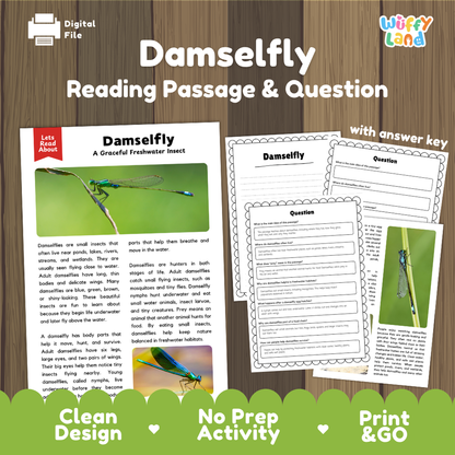 Damselfly Reading Passage and Questions Worksheets with Answer Key