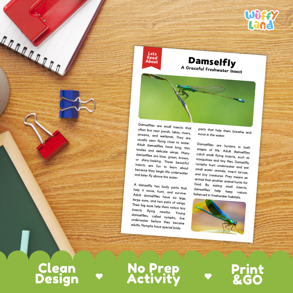 A printed educational card titled 'Damselfly: A Graceful Freshwater Insect' from Let's Read About Us, displayed on a wooden desk with a spiral notebook, red binder clips, and a green decorative banner at the bottom. The card features text and two insect photos.