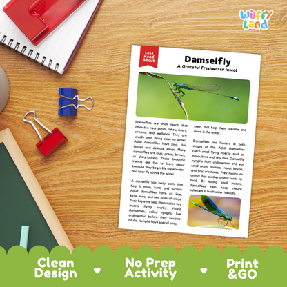 A printed educational card titled 'Damselfly: A Graceful Freshwater Insect' from Let's Read About Us, displayed on a wooden desk with a spiral notebook, red binder clips, and a green decorative banner at the bottom. The card features text and two insect photos.
