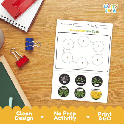 Dandelion Lifecycle Poster and Cut and Paste Activity Worksheets | Plant Science Printables