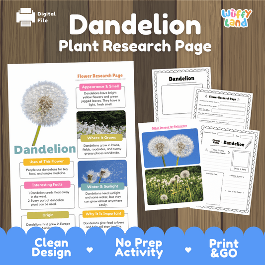 Student flower research page writing worksheets with real white dandelion seed puffball and blooming green meadow photos, lined note-taking prompts, and drawing frames