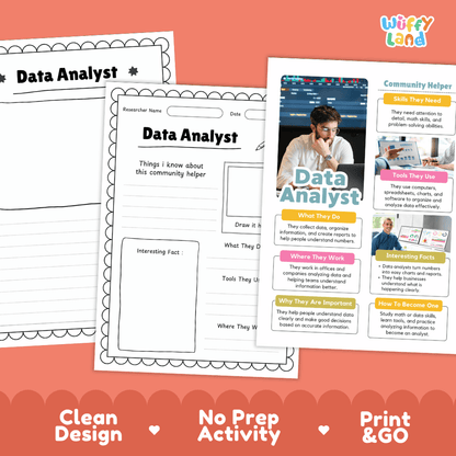 Educational reference poster with real photography showing data analyst duties, spreadsheet and chart tools, office workplace, and interesting facts