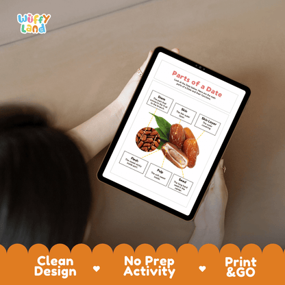Educational cut and paste date fruit anatomy worksheet with printable word cutout tiles for skin, flesh, stem, leaf, seeds, and core
